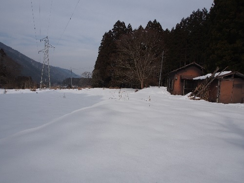 葛川共創ネットワーク　活動のようす画像　農園予定地。この日は雪に覆われていた