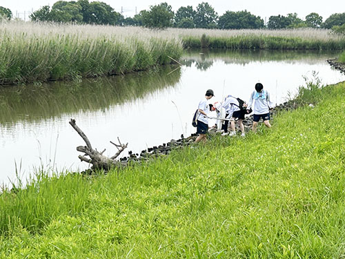 ヴォーリズ倶楽部　北之庄沢・西の湖クリーンプロジェクト　北之庄沢のほとりでゴミを集める
